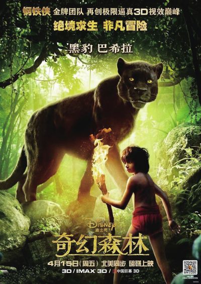 离婚证丢了怎么办